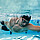 Schwimmer