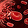 Blut