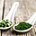 Chlorella vulgaris